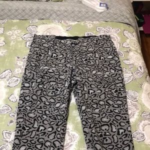 EUC Lane Bryant Ankle Trouser (like new!)